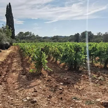 Passion Du Var Vidauban Esterno foto